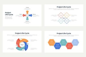 Project Life Cycle 3