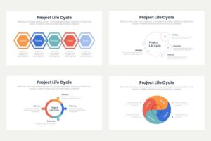 Project Life Cycle 4