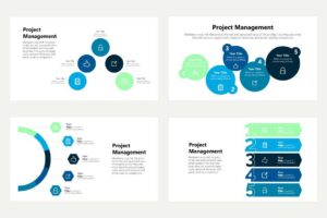 Project Management 15