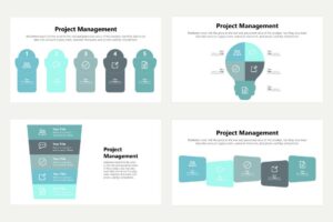 Project Management 5